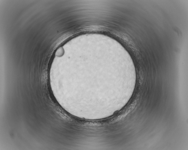 X0000110681073200907241038