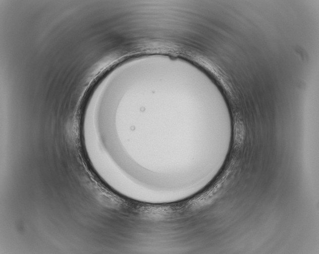 X0000110681074200907241038