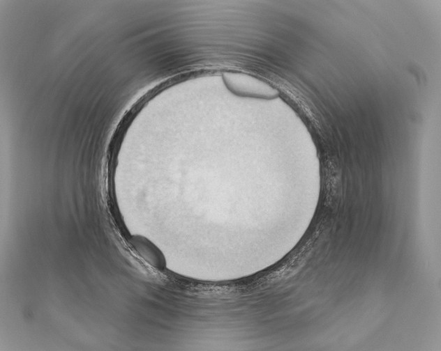 X0000110681076200907241038
