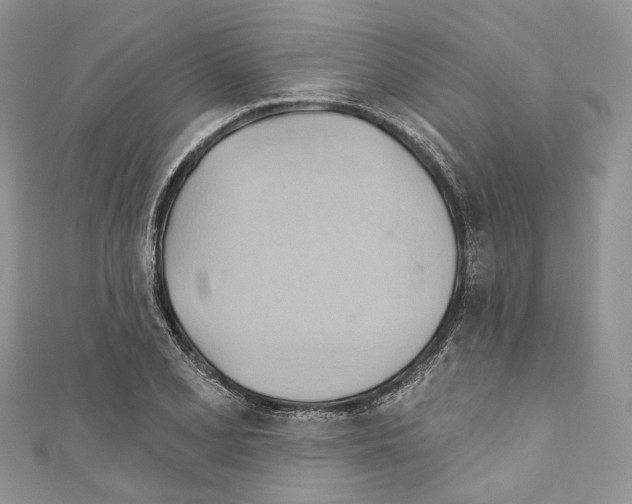 X0000110681077200907241038