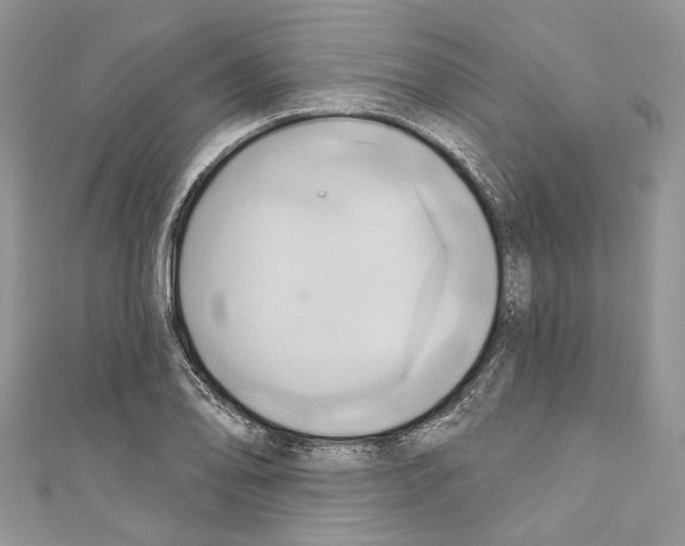 X0000110681078200907241038