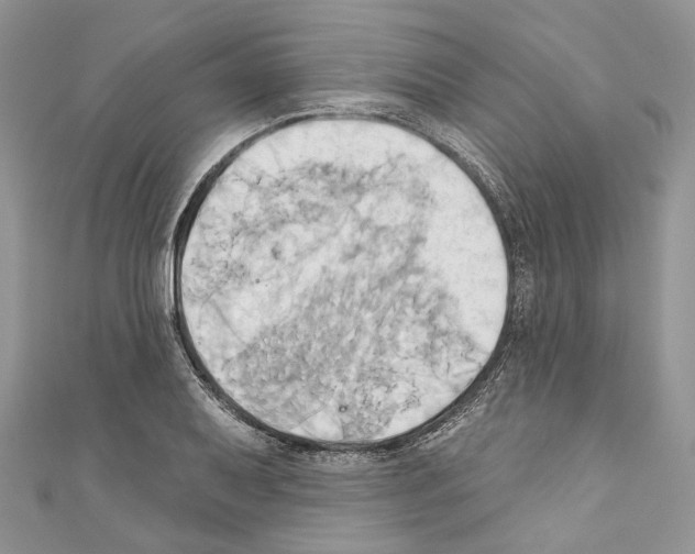 X0000110681079200907241038