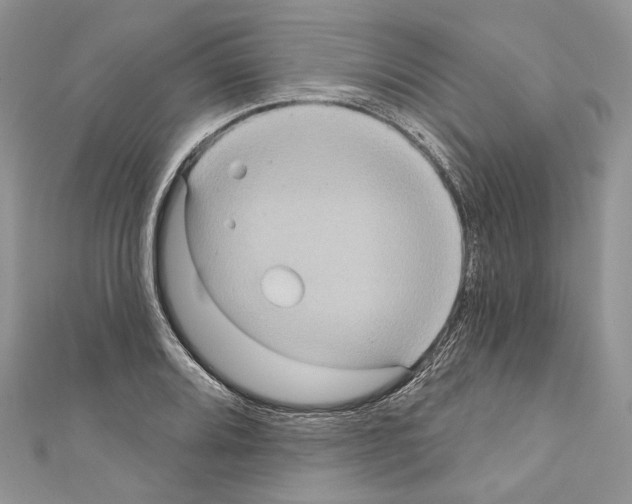 X0000110681080200907241038