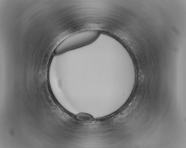 X0000110681081200907241038