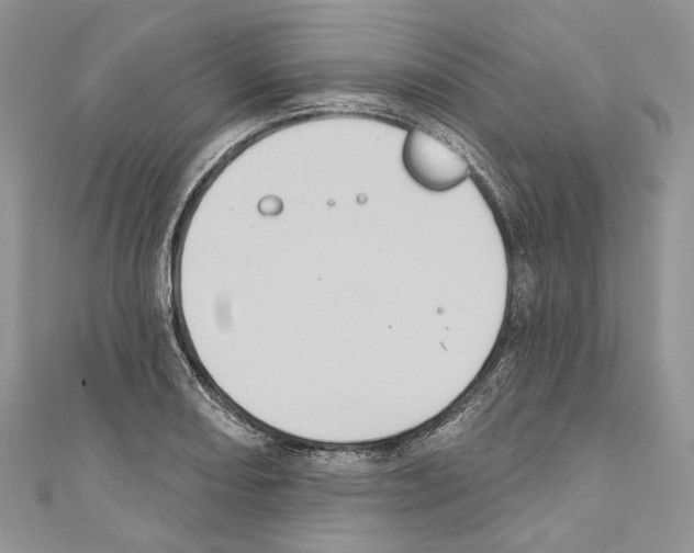X0000110681082200907241038
