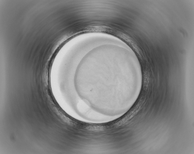 X0000110681083200907241038