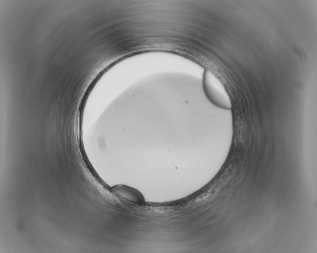 X0000110681084200907241038