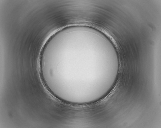 X0000110681085200907241038