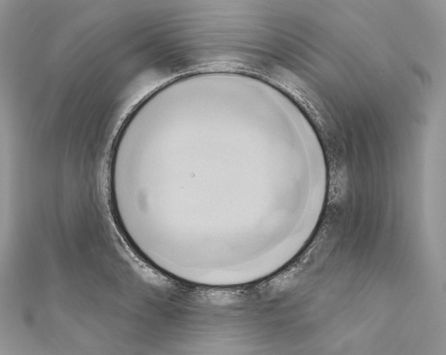 X0000110681086200907241038