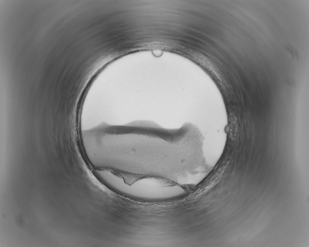 X0000110681087200907241038