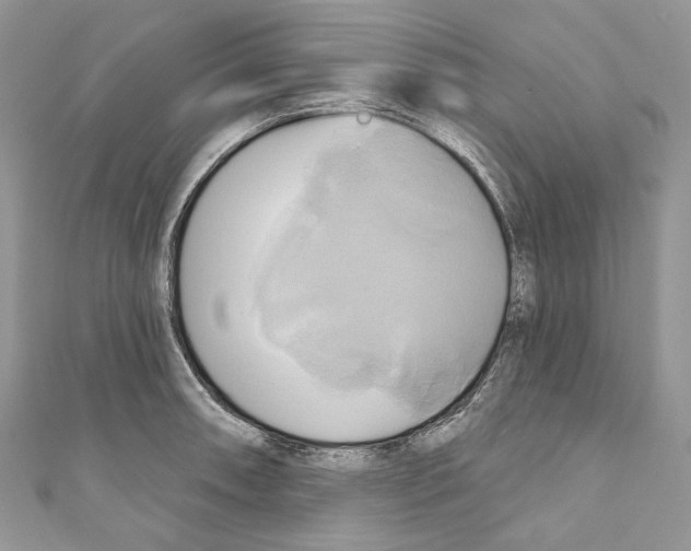 X0000110681090200907241038