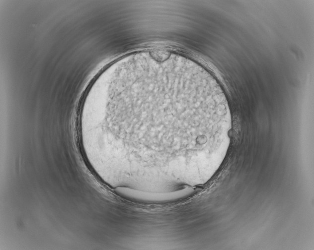 X0000110681091200907241038