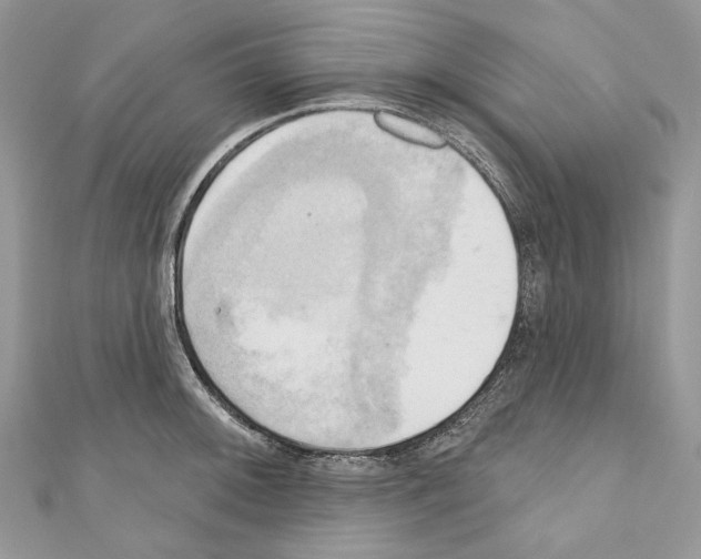 X0000110681092200907241038