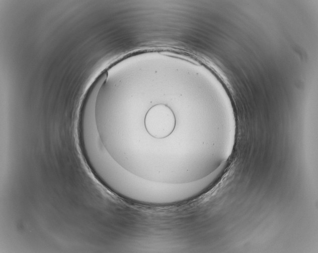X0000110681093200907241038