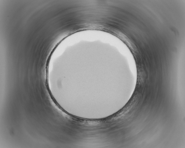 X0000110681095200907241038