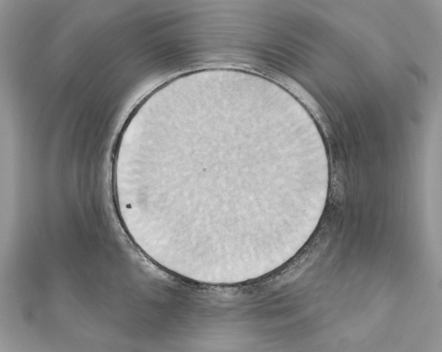 X0000110681096200907241038