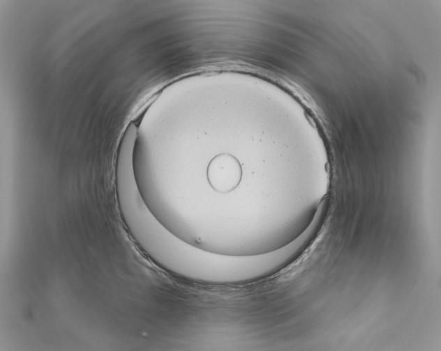 X0000110681097200907241038