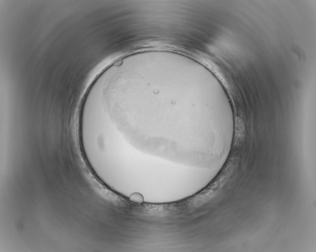 X0000110681098200907241038