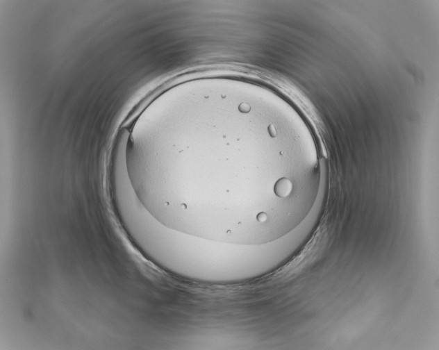 X0000110681101200907241038