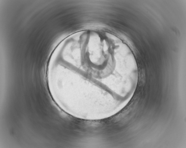 X0000110681103200907241038