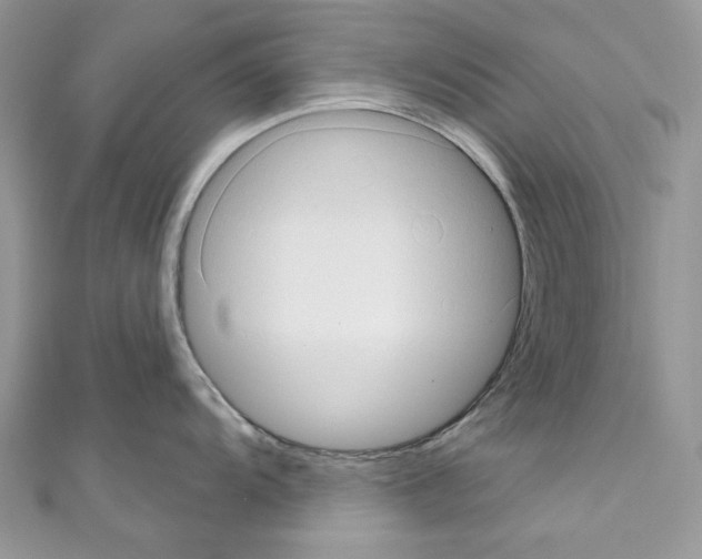 X0000110681104200907241038