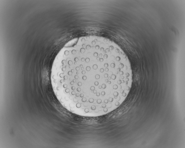 X0000110681106200907241037