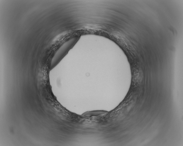 X0000110681110200907241038
