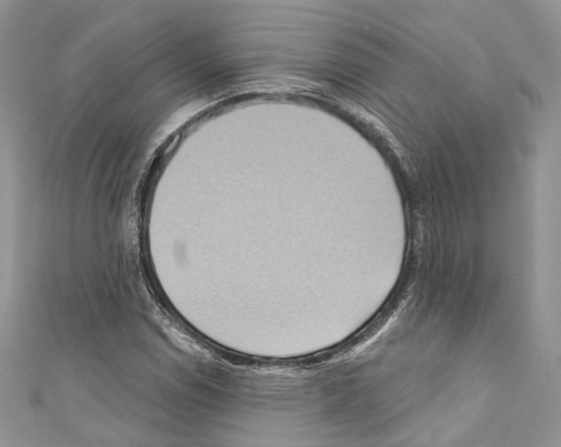 X0000110681114200907241038