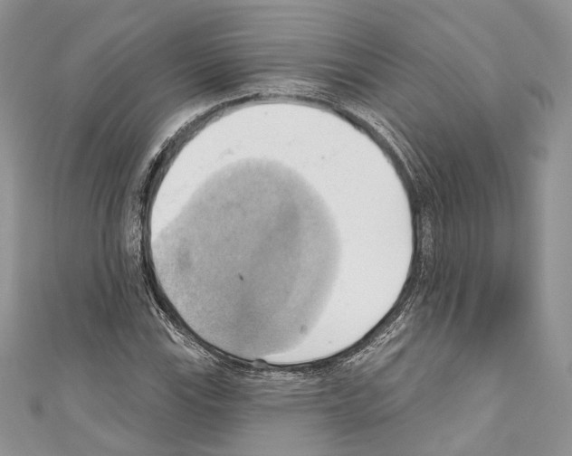 X0000110681115200907241038