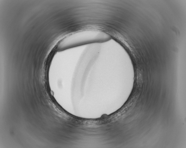 X0000110681116200907241038