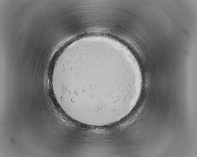 X0000110681117200907241038