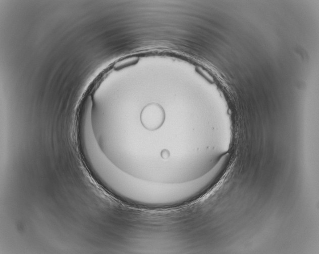 X0000110681118200907241038