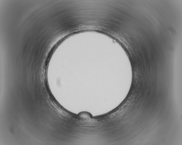 X0000110681119200907241038