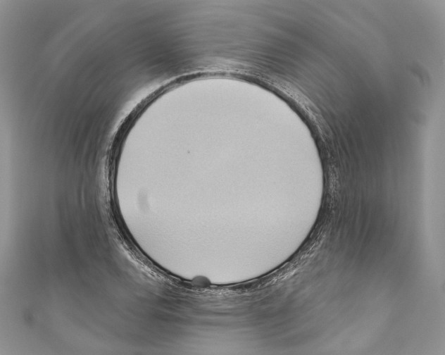 X0000110681120200907241038