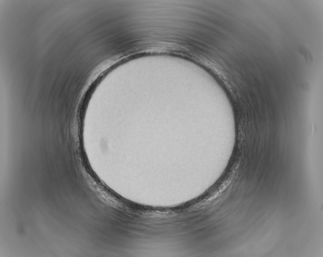 X0000110681122200907241038