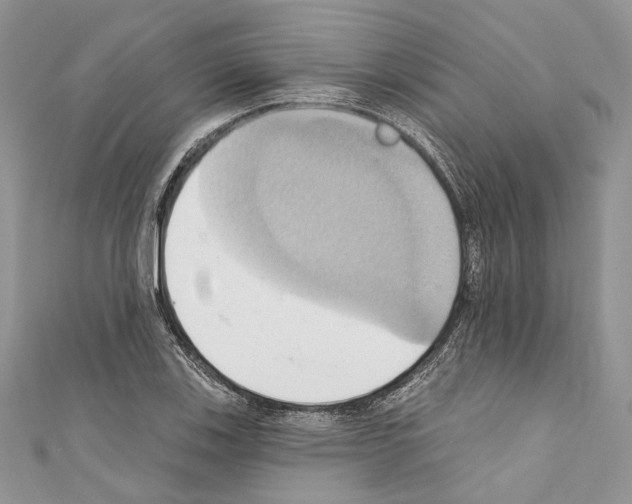 X0000110681123200907241038