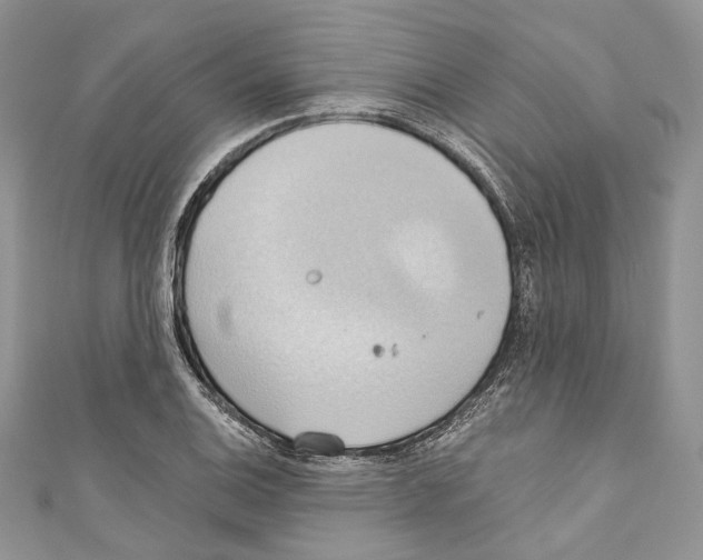 X0000110681124200907241038