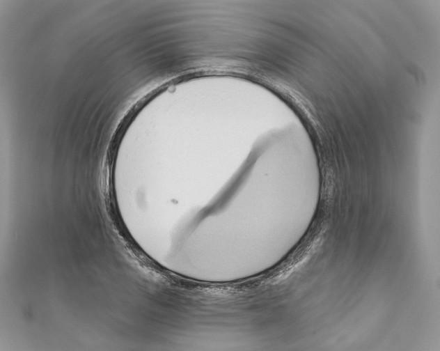 X0000110681125200907241038