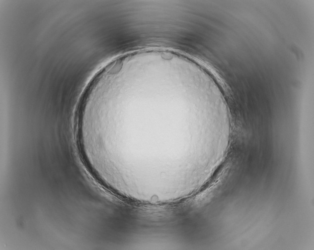 X0000110681126200907241038