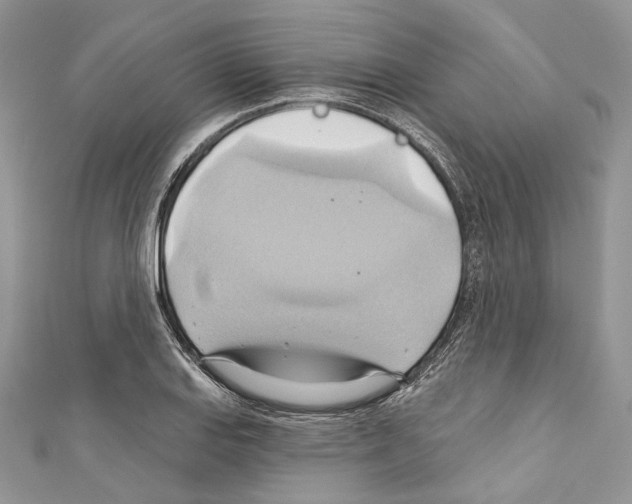 X0000110681127200907241038