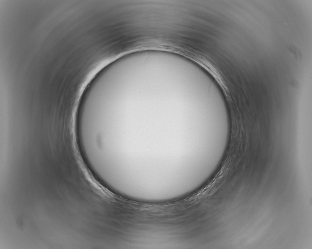 X0000110681128200907241038