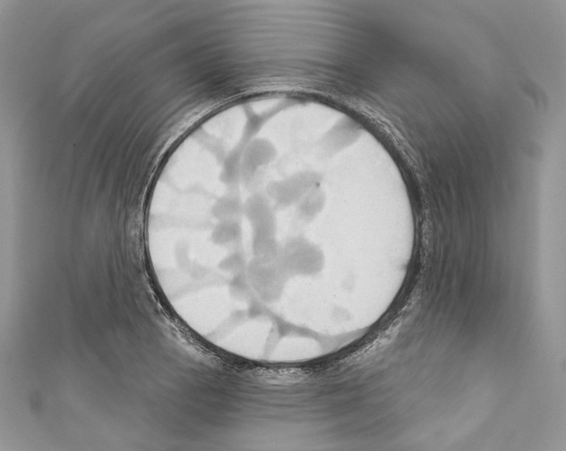 X0000110681129200907241038