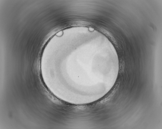 X0000110681130200907241038