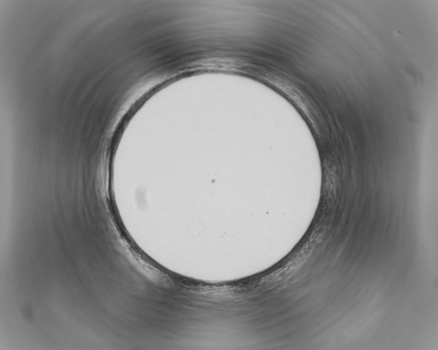 X0000110681131200907241038