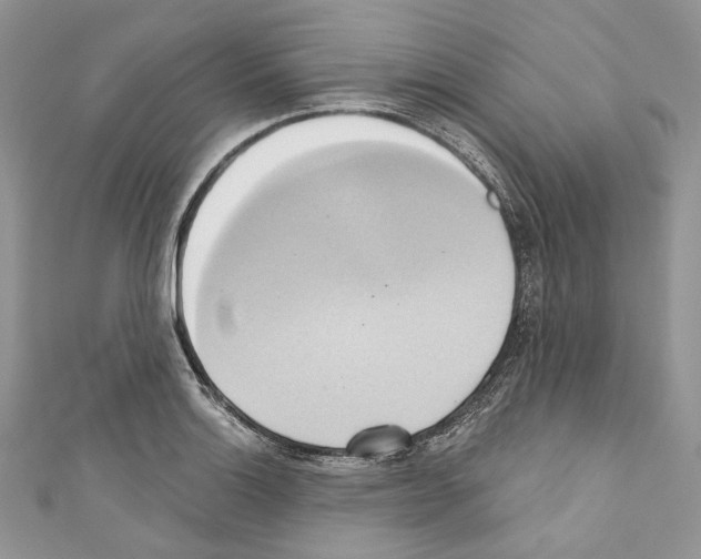 X0000110681132200907241038