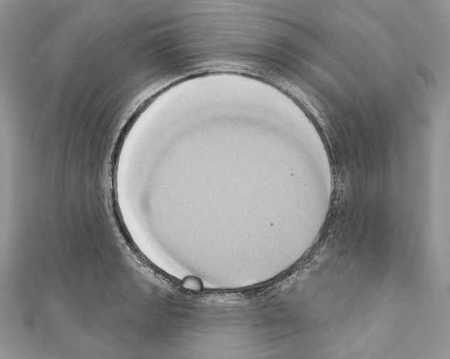 X0000110681133200907241038