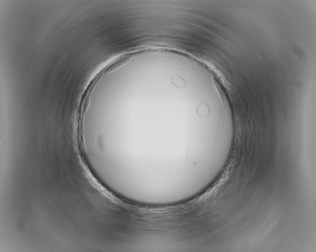 X0000110681134200907241038