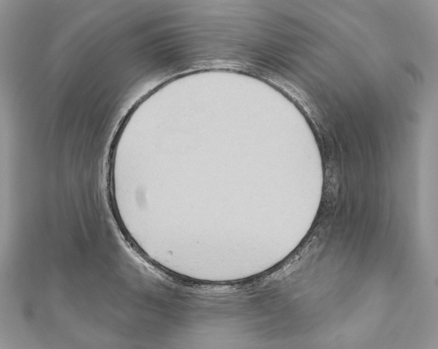 X0000110681135200907241038