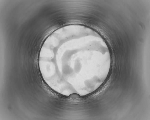 X0000110681137200907241038