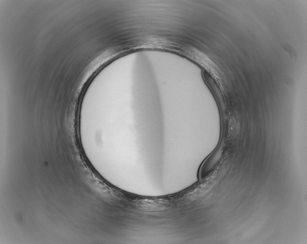 X0000110681138200907241038